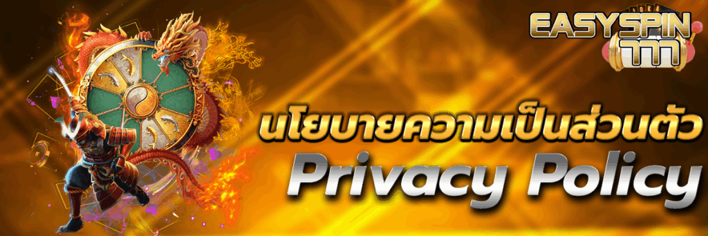 นโยบายความเป็นส่วนตัว